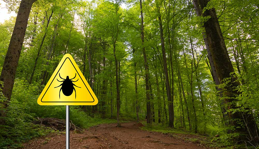 Ticks warning sign in the bush