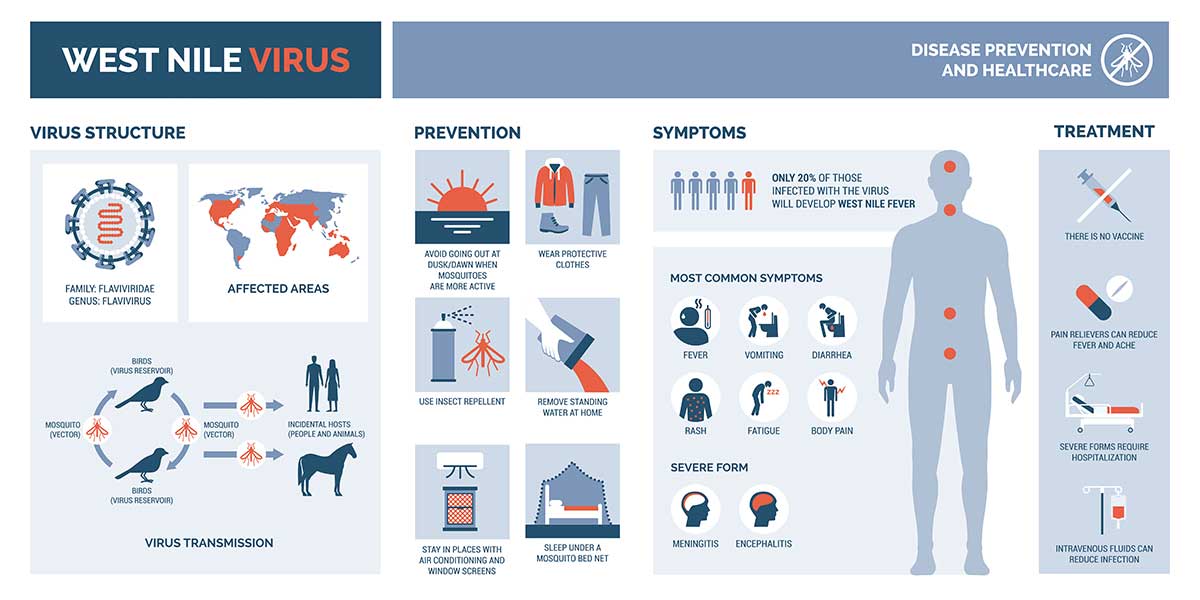 Everything to know about West Nile Virus